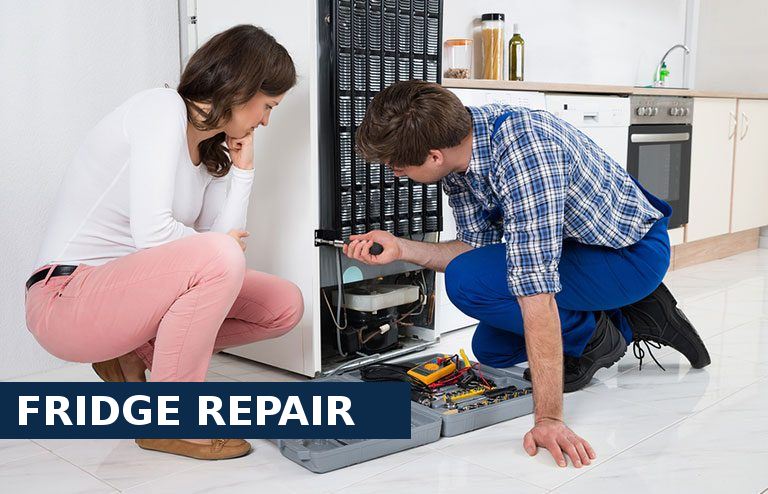 Fridge Repair Bexleyheath